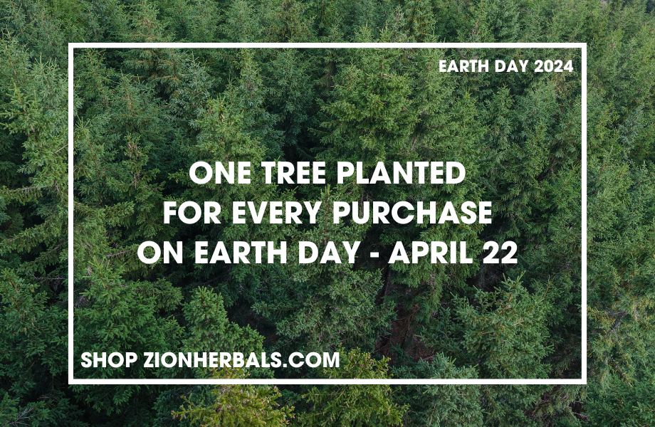 Honoring Earth Day