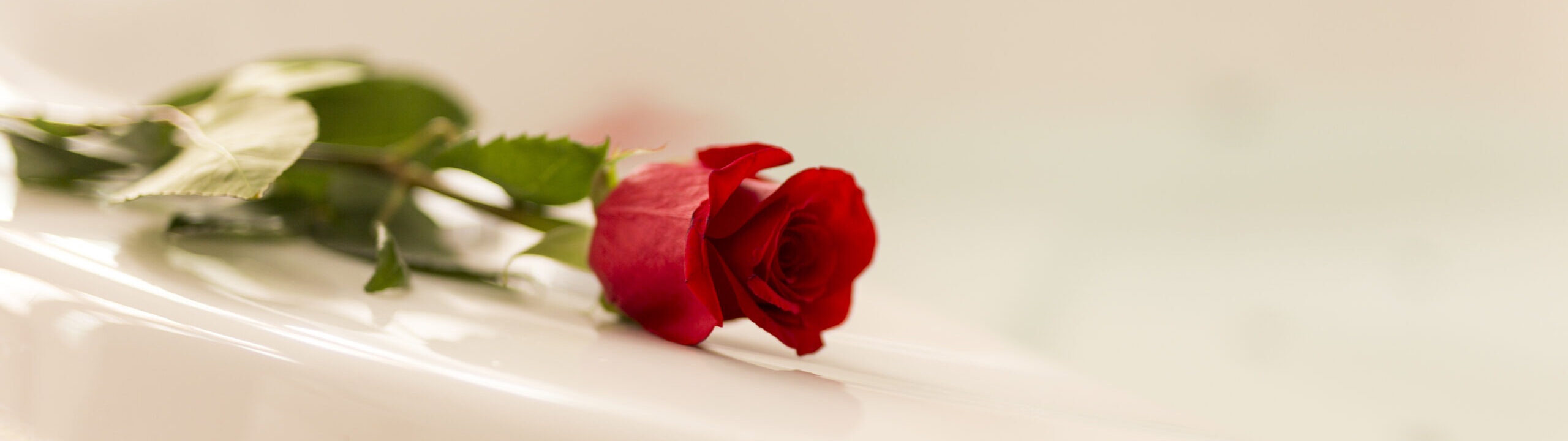 front-view-rose-bathtub