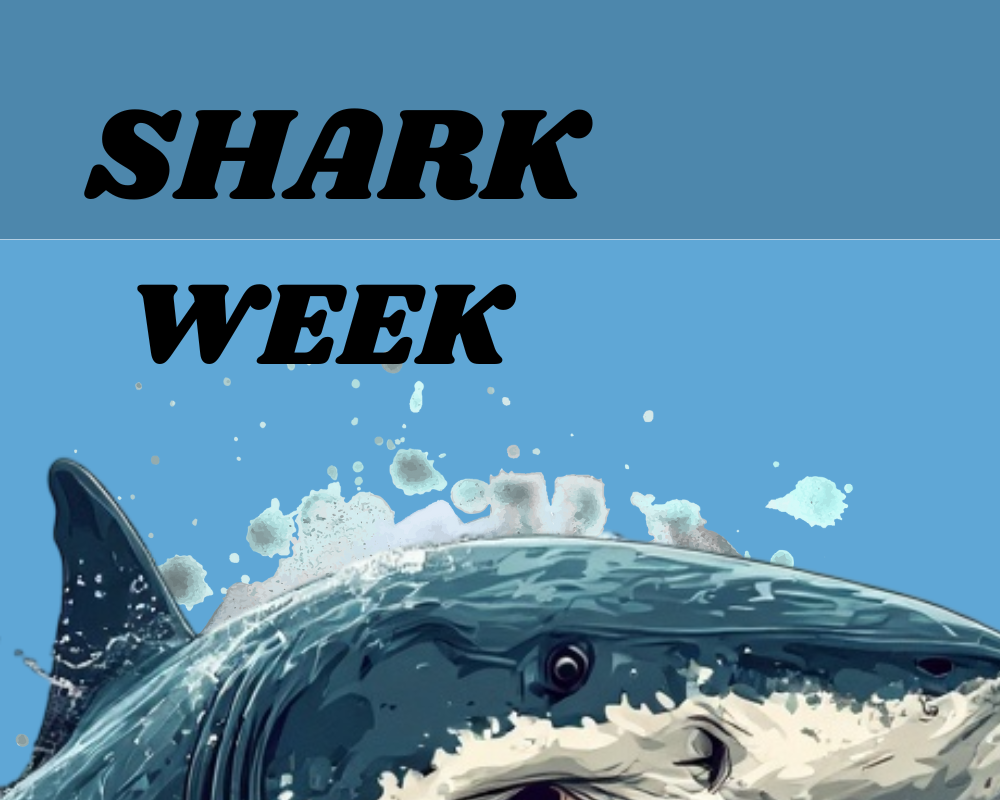 Shark Week Sunken Treasure