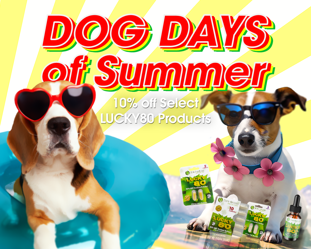 Lucky80 10% OFF- Get Lucky During Dog Days of Summer!
