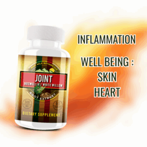 Joint Complex 2 with Details