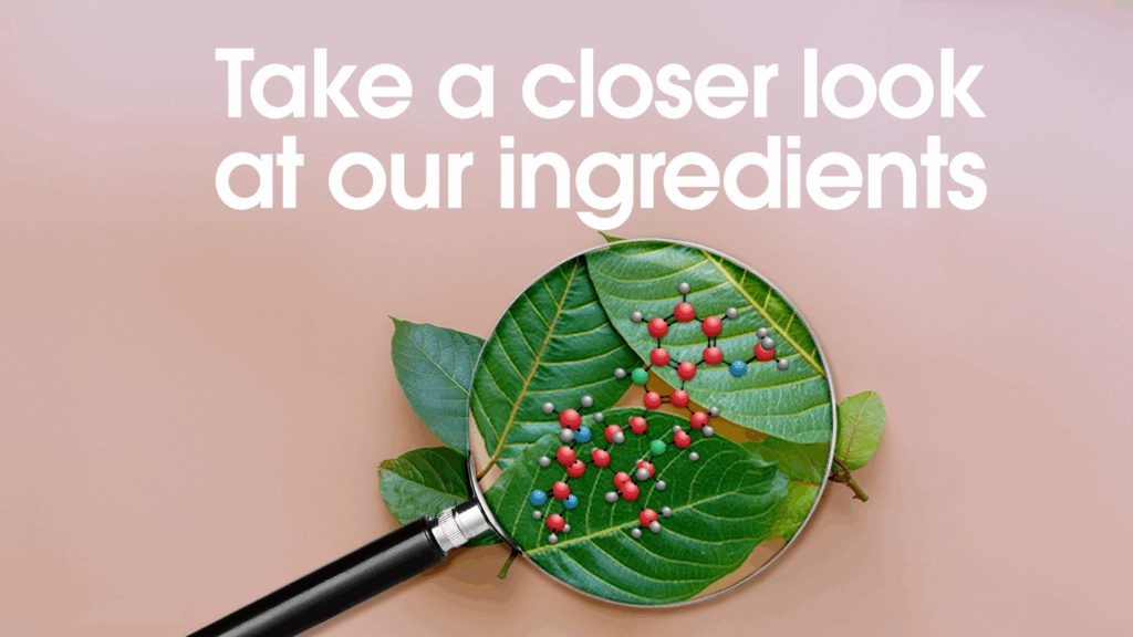 What's Inside Our Botanicals Title