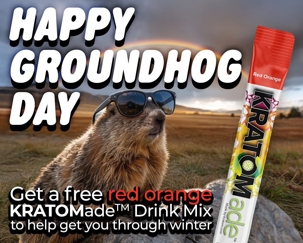 WINTER WON Groundhog Day Mobile