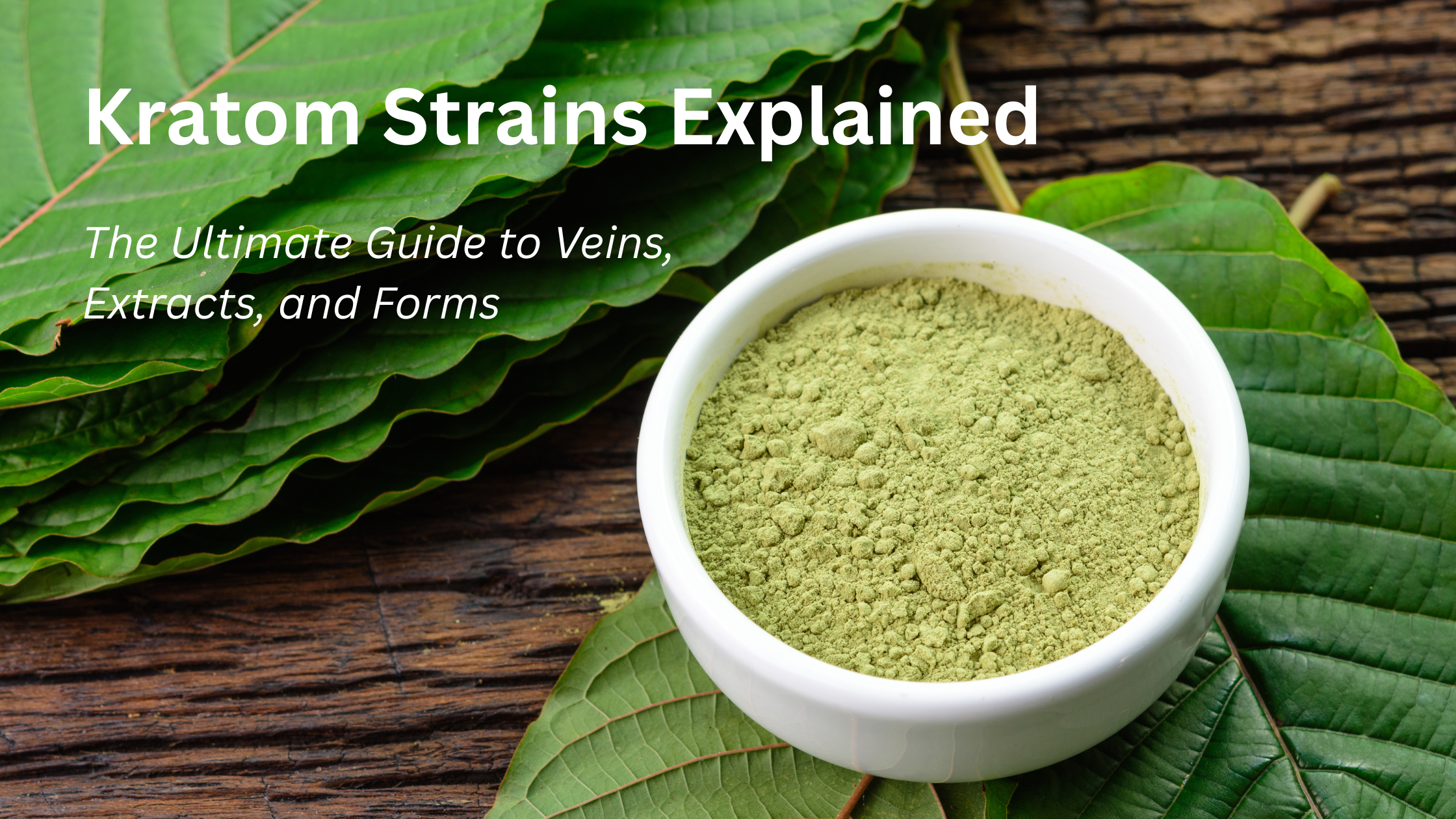 Kratom Strains Explained: The Ultimate Guide to Veins, Extracts, and Forms