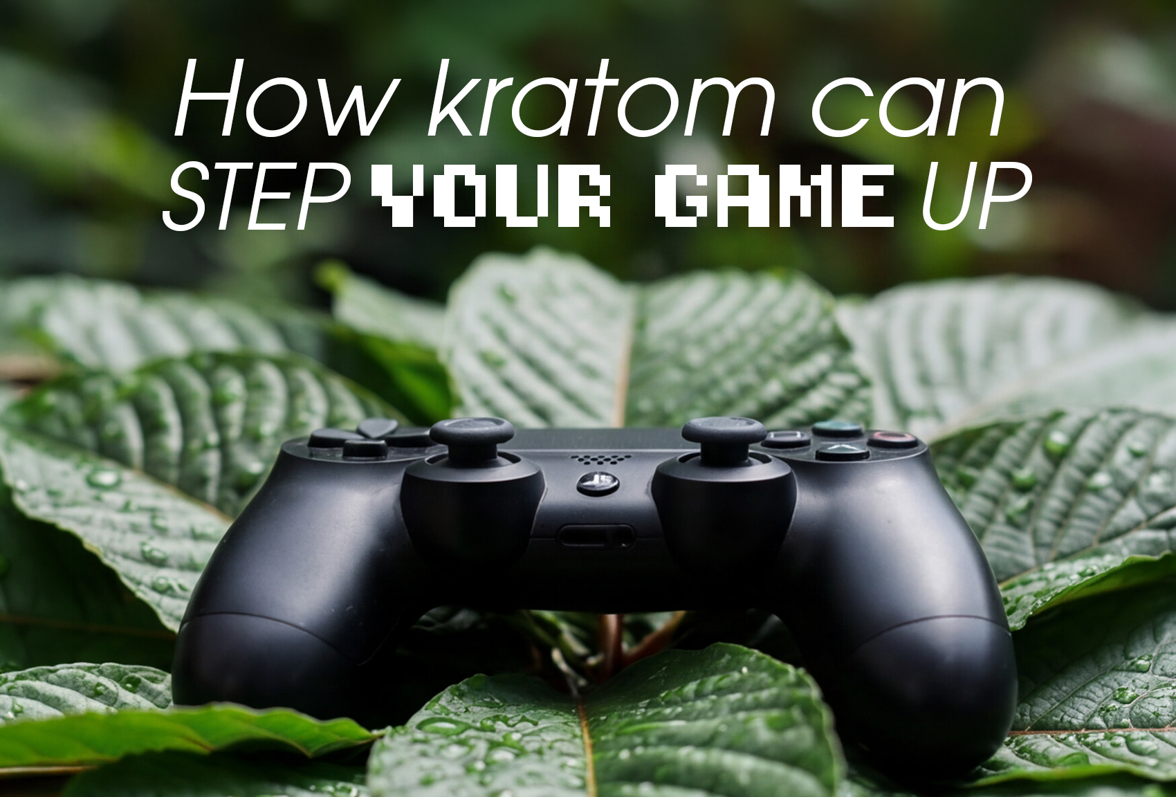 Level Up With Kratom Blog