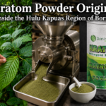 Kratom Powder Origins Featured Blog Image