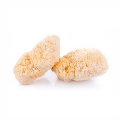 Lions Mane Mushrooms