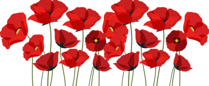Red Poppies- Remembrance on Memorial Day Red Poppies- Remembrance on Memorial Day